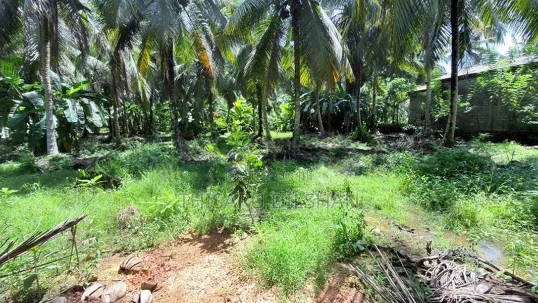 114 Perches Land for Sale in Massala, Beruwala
