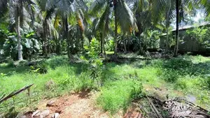 114 Perches Land for Sale in Massala, Beruwala