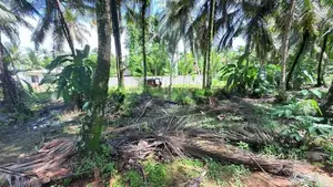 114 Perches Land for Sale in Massala, Beruwala
