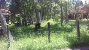 Commercial Land for Sale Marawila