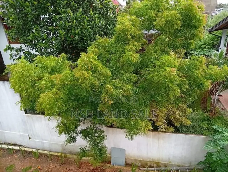 BRAD NEW SUPER LUXURY HOUSE FOR SALE IN TALAWATHUGODA