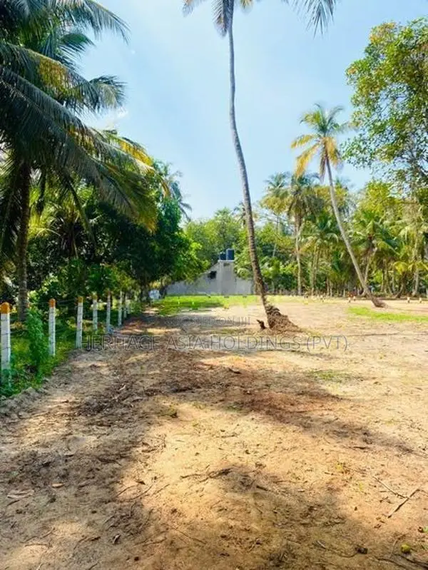 Land for Sale in Pambala