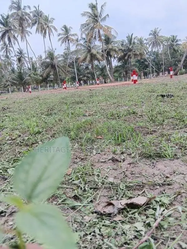 හලාවත නගරයට නුදුරින් සින්නක්කර පර්.17 බිම් කොටස්