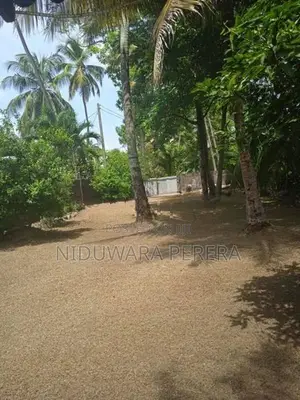 Valuable Land for Sale - Wadduwa