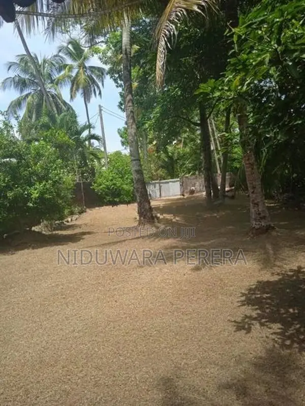 Valuable Land for Sale - Wadduwa