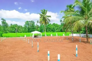 Valuable Land for Sale in Dambadeniya P3