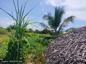 Beachfront Land for Sale Komari