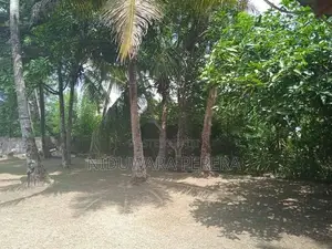 Valuable Land for Sale - Wadduwa