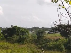Land for Sale in Anuradhapura Puttalam Road