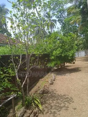 Valuable Land for Sale - Wadduwa