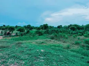 Beachfront Land for Sale Komari