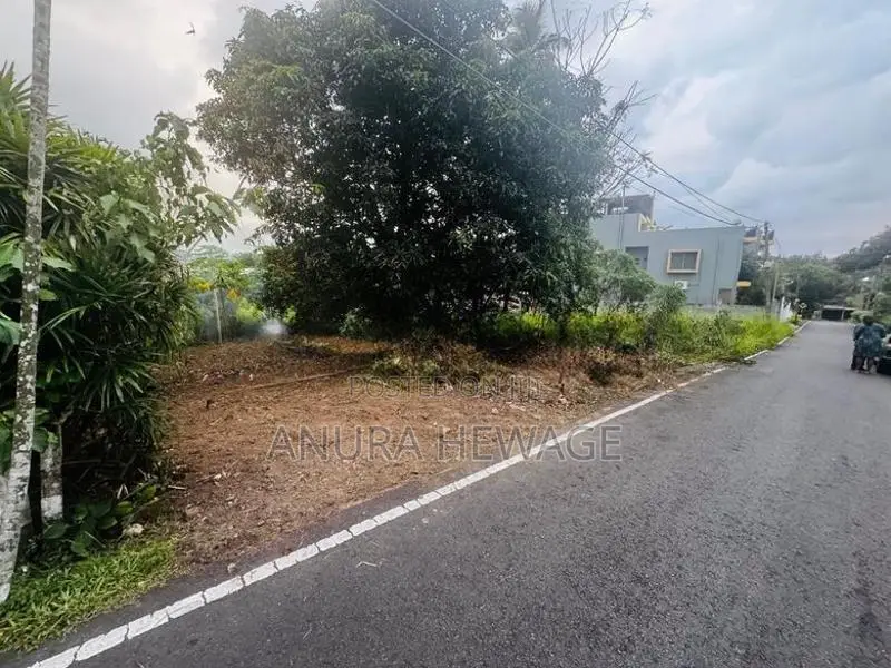 පිළියන්දල, මඩපාත පිහිටි ඉඩමක් විකිණීමට ඇත. (ID : PLN001S)