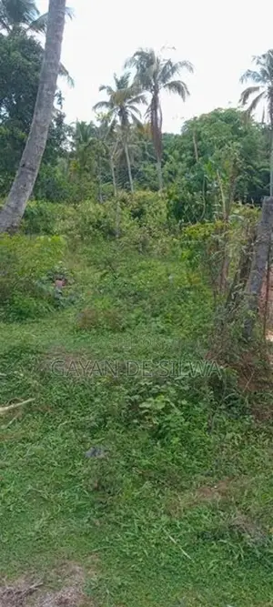 Land for Sale Yakkala