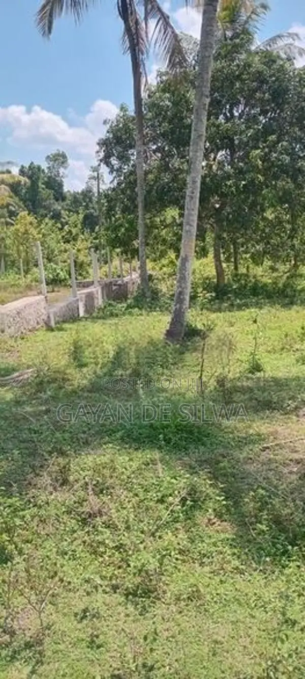 Land for Sale Yakkala