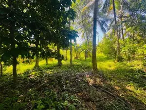 Land for Sale Batuwatta