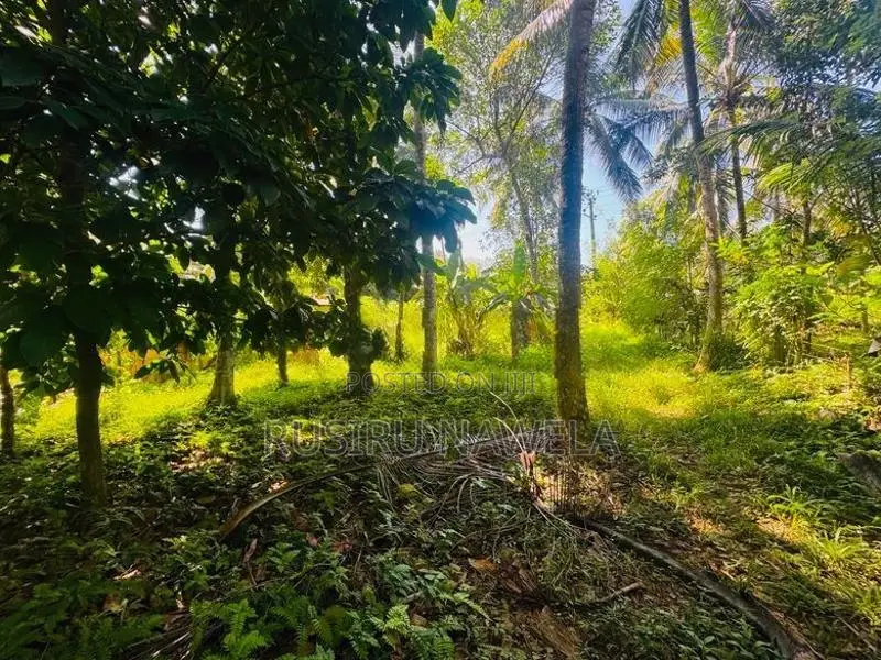 Land for Sale Batuwatta