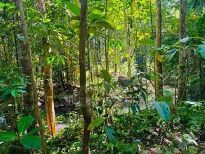 Land for Sale Batuwatta