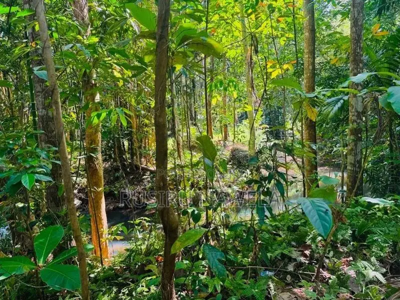 Land for Sale Batuwatta