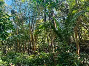 Land for Sale Batuwatta