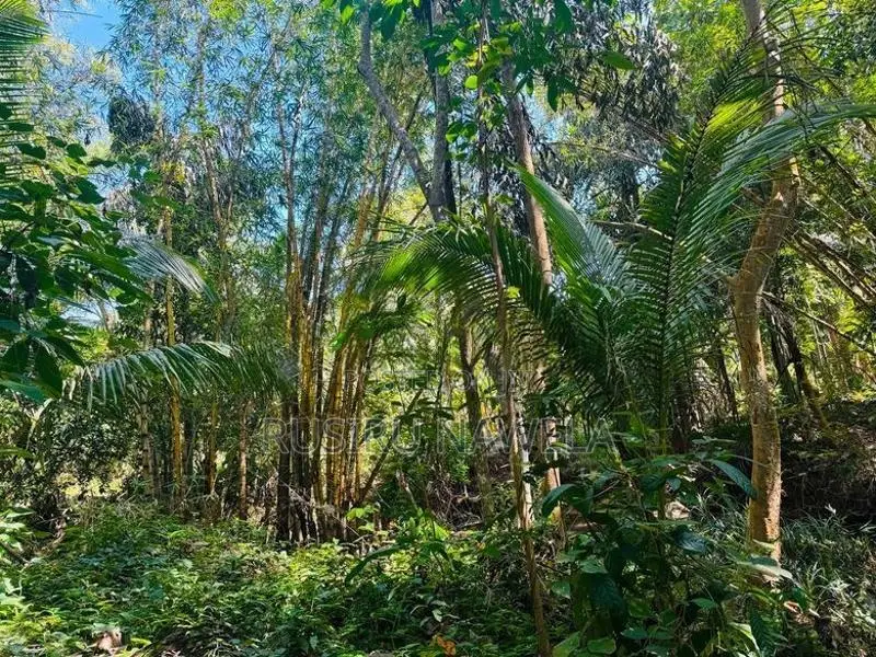Land for Sale Batuwatta