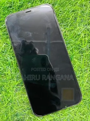 Apple iPhone 12 Pro (Used)