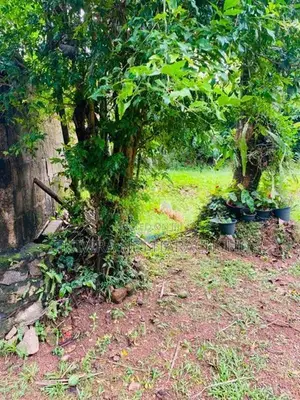 House with Land for Sale in Ragama ,batuwatta