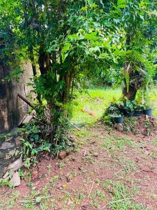 House with Land for Sale in Ragama ,batuwatta