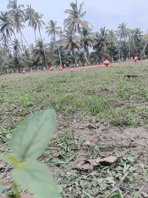 හලාවත පම්බල පර්.17 අගනා ඉඩමක්