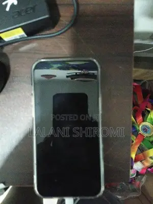 Apple iPhone 12 Pro Max (Used)