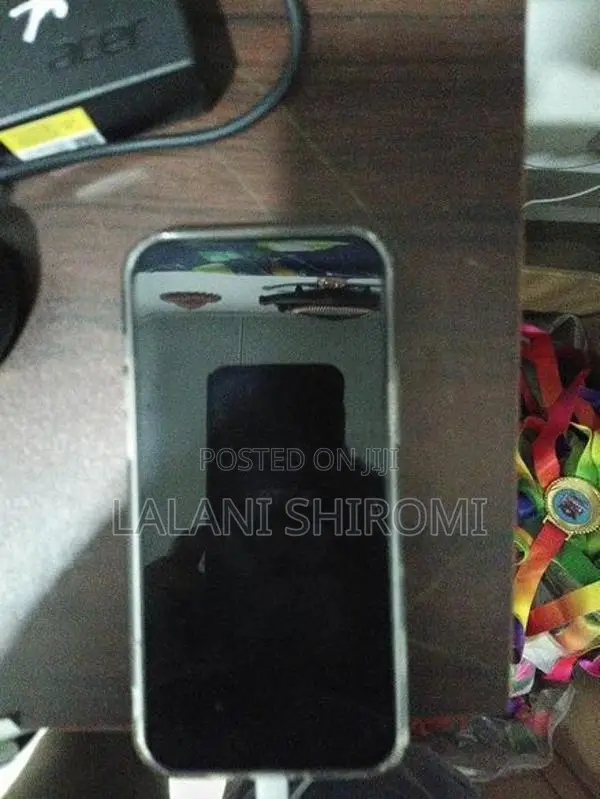 Apple iPhone 12 Pro Max (Used)