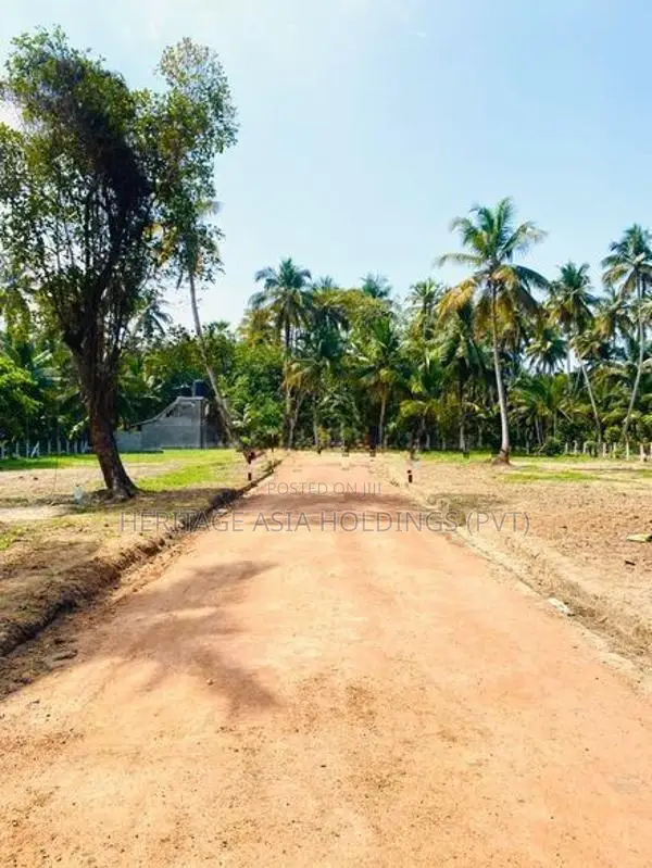 හලාවත නගරයට සමීපයෙන්ම අගනා බිම් කොටස්