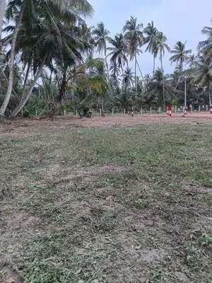 හලාවත පම්බල පර්.17 අගනා ඉඩමක්