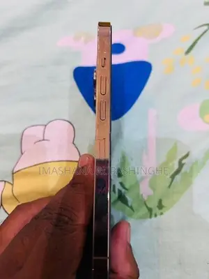 Apple iPhone 13 Pro (Used)