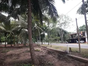 බලල්ල අගනා බිම් කොටසක්