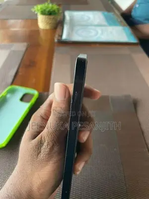 Apple iPhone 12 (Used)