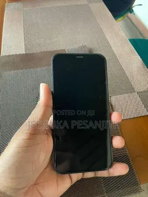 Apple iPhone 12 (Used)