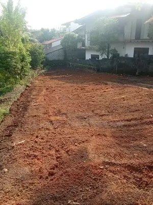 Negombo Kurana Land