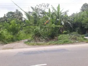 Land For Rent In Hadeniya ( front Of Kandy - Kurunegala Main Road )