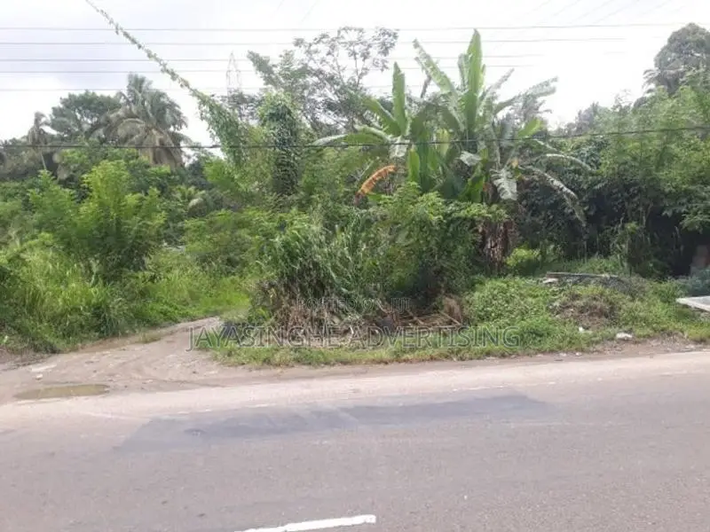Land For Rent In Hadeniya ( front Of Kandy - Kurunegala Main Road )