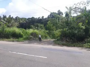 Land For Rent In Hadeniya ( front Of Kandy - Kurunegala Main Road )