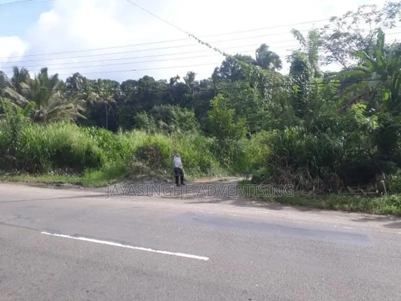 Land For Rent In Hadeniya ( front Of Kandy - Kurunegala Main Road )