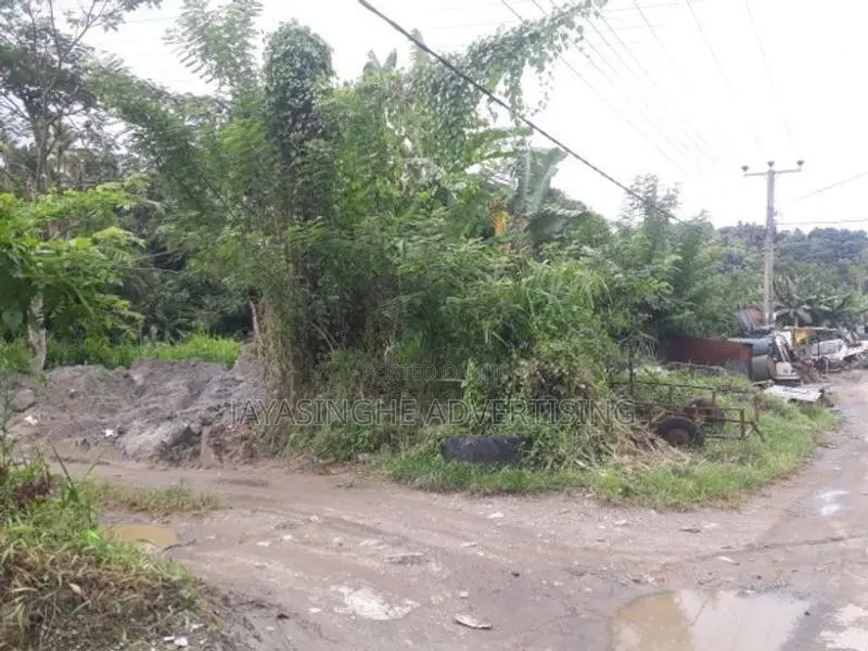 Land For Rent In Hadeniya ( front Of Kandy - Kurunegala Main Road )