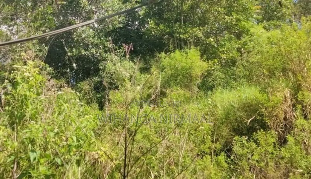 Land for Sale Diyatalawa