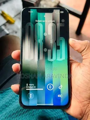 Apple iPhone 13 Pro Max (Used)