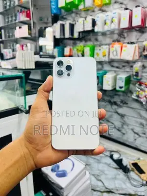 Apple iPhone 12 Pro Max 2024 (Used)