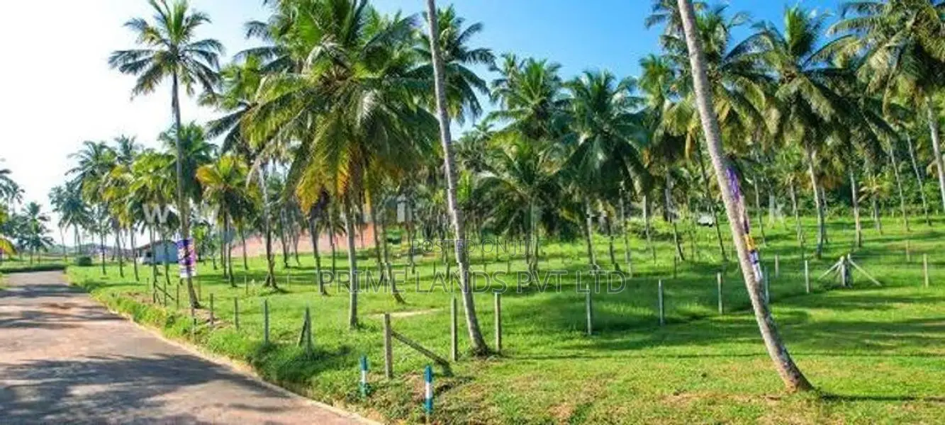 නාරම්මල නගරයෙන් ඉඩමක් විකිණීමට
