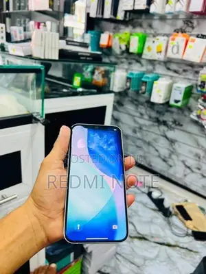 Apple iPhone 12 Pro Max 2024 (Used)