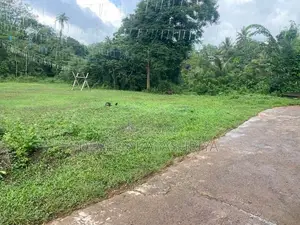 95 Perch Land Horana - Moragahena