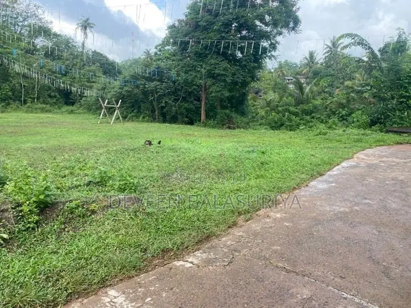 95 Perch Land Horana - Moragahena