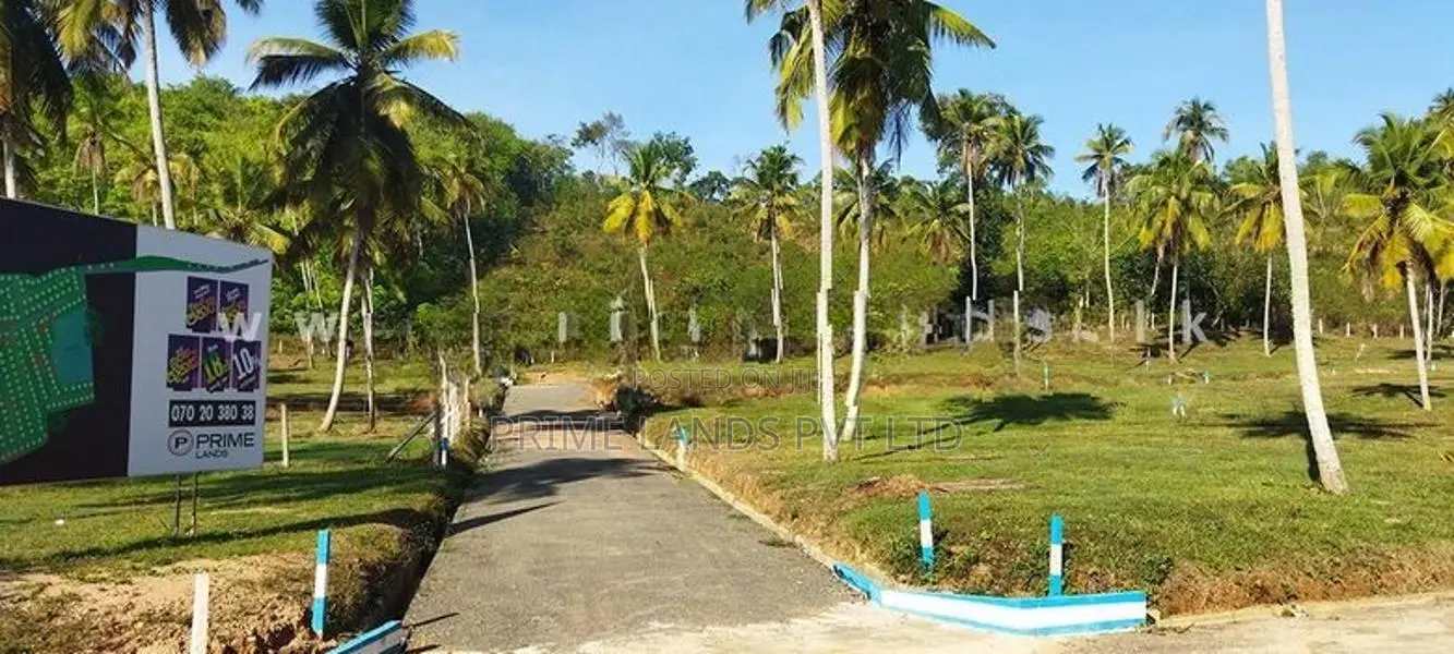 නාරම්මල නගරයෙන් ඉඩමක් විකිණීමට